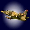 L39 Russian Air Force Jet